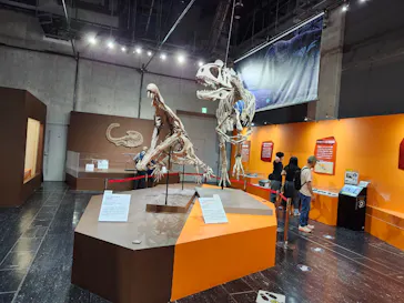 大絶滅展ー生命史のビッグファイブ（名古屋会場）に投稿された画像（2026/6/13）