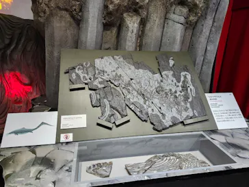 大絶滅展ー生命史のビッグファイブ（名古屋会場）に投稿された画像（2026/6/13）