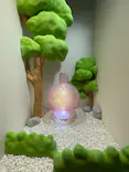 ちいかわパークに投稿された画像（2026/6/13）