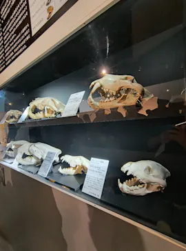 特別展「超危険生物展　科学で挑む生き物の本気」に投稿された画像（2026/6/13）