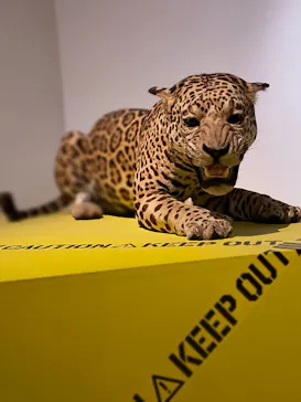 特別展「超危険生物展　科学で挑む生き物の本気」に投稿された画像（2026/6/13）