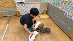 東京あそびマーレに投稿された画像（2026/6/13）
