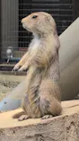 名古屋市東山動植物園に投稿された画像（2026/6/13）