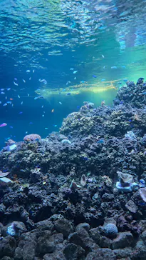 葛西臨海水族園に投稿された画像（2026/6/13）