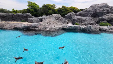 葛西臨海水族園に投稿された画像（2026/6/13）