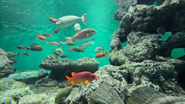 葛西臨海水族園に投稿された画像（2026/6/13）
