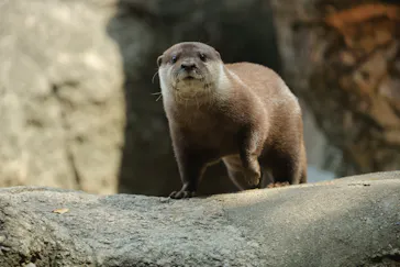 恩賜上野動物園に投稿された画像（2026/6/13）