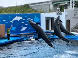 仙台うみの杜水族館に投稿された画像（2026/6/13）