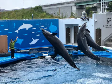 仙台うみの杜水族館に投稿された画像（2026/6/13）
