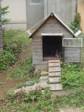 千葉市動物公園に投稿された画像（2026/6/13）