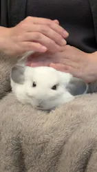Moff animal cafe イオンモール幕張新都心店に投稿された画像（2026/6/13）