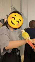 Moff animal cafe イオンモール幕張新都心店に投稿された画像（2026/6/13）