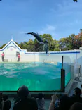 しながわ水族館に投稿された画像（2026/6/13）
