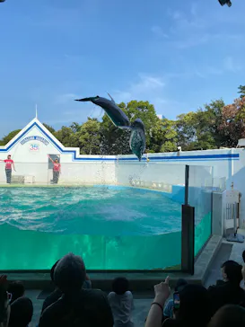 しながわ水族館に投稿された画像（2026/6/13）
