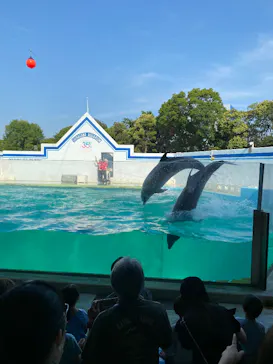 しながわ水族館に投稿された画像（2026/6/13）