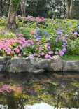 万博記念公園に投稿された画像（2026/6/13）