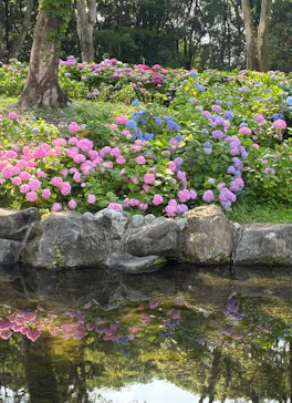 万博記念公園に投稿された画像（2026/6/13）
