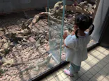 体感型動物園iZooに投稿された画像（2026/6/13）