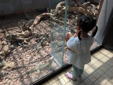 体感型動物園iZooに投稿された画像（2026/6/13）
