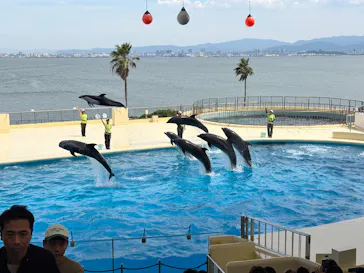 マリンワールド海の中道に投稿された画像（2026/6/13）