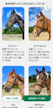 乗馬クラブクレイン伊奈に投稿された画像（2026/6/13）