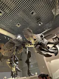 国立科学博物館に投稿された画像（2026/6/13）