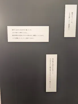 武豊 デビュー40年 ～前人未到の記録～　（銀座三越）に投稿された画像（2026/6/13）