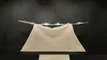 東京国立博物館に投稿された画像（2026/6/13）