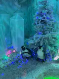 国営ひたち海浜公園プレジャーガーデンに投稿された画像（2026/6/13）