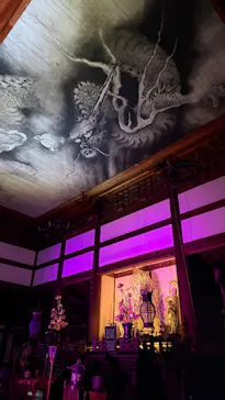 VIE presents ZEN NIGHTに投稿された画像（2026/6/13）