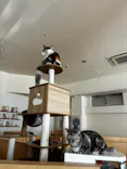 Cat Café MOFF 名古屋PARCO店に投稿された画像（2026/6/13）