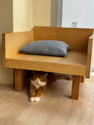 Cat Café MOFF 名古屋PARCO店に投稿された画像（2026/6/13）
