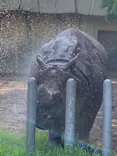 名古屋市東山動植物園に投稿された画像（2026/6/14）