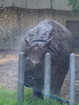 名古屋市東山動植物園に投稿された画像（2026/6/13）