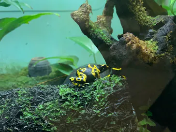 名古屋市東山動植物園に投稿された画像（2026/6/13）