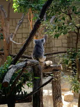 名古屋市東山動植物園に投稿された画像（2026/6/13）