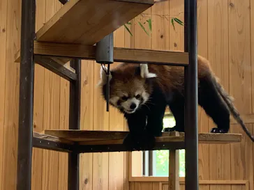 名古屋市東山動植物園に投稿された画像（2026/6/13）