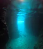 沖縄マリンサービス碧に投稿された画像（2026/6/14）
