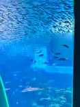横浜・八景島シーパラダイスに投稿された画像（2026/6/14）
