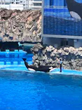 名古屋港水族館に投稿された画像（2026/6/14）
