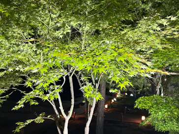 VIE presents ZEN NIGHTに投稿された画像（2026/6/14）