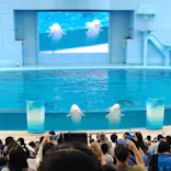 横浜・八景島シーパラダイスに投稿された画像（2026/6/14）