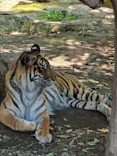恩賜上野動物園に投稿された画像（2026/6/14）