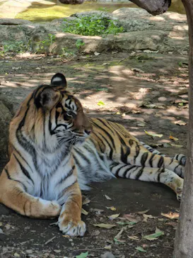 恩賜上野動物園に投稿された画像（2026/6/14）