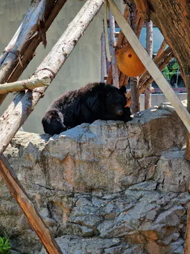 恩賜上野動物園に投稿された画像（2026/6/14）
