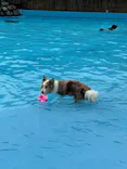 わんダフルネイチャーヴィレッジに投稿された画像（2026/6/14）