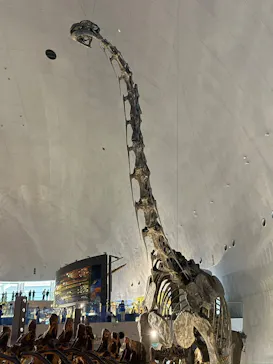 福井県立恐竜博物館に投稿された画像（2026/6/14）