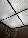 ハーモニーランドに投稿された画像（2026/6/14）