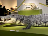 特別展「超危険生物展　科学で挑む生き物の本気」に投稿された画像（2026/6/14）