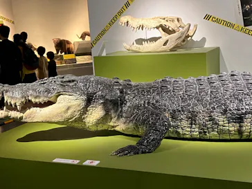 特別展「超危険生物展　科学で挑む生き物の本気」に投稿された画像（2026/6/14）